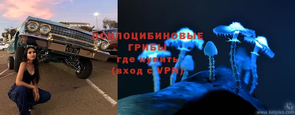 2c-b Горнозаводск