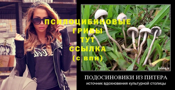мяу мяу кристалл Горно-Алтайск