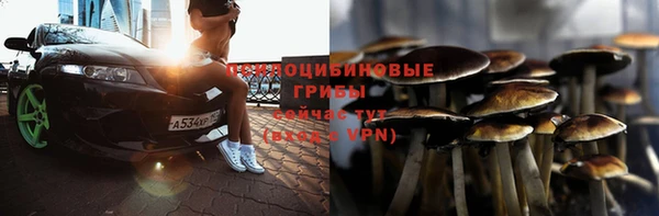 мдпв Горняк