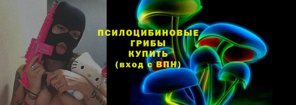 2c-b Горнозаводск
