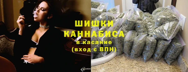 2c-b Горнозаводск