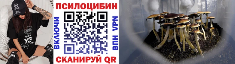 наркота  Шилка  Галлюциногенные грибы мицелий 
