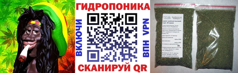 Каннабис индика  Шилка 